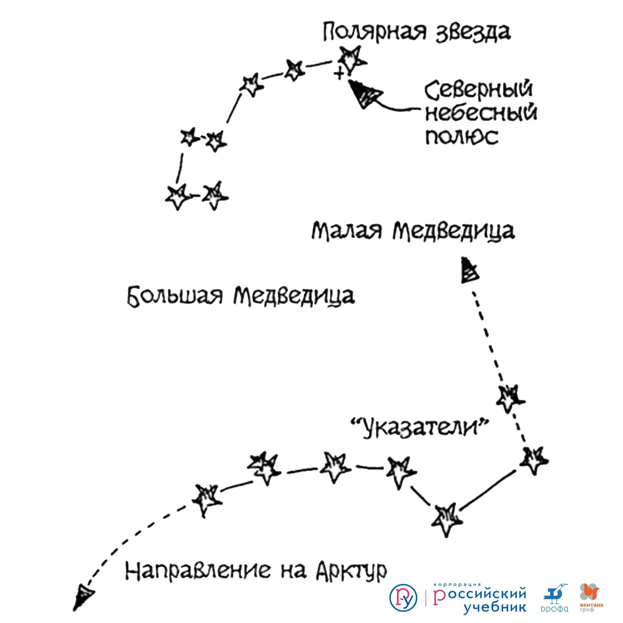 Покажи полярную звезду