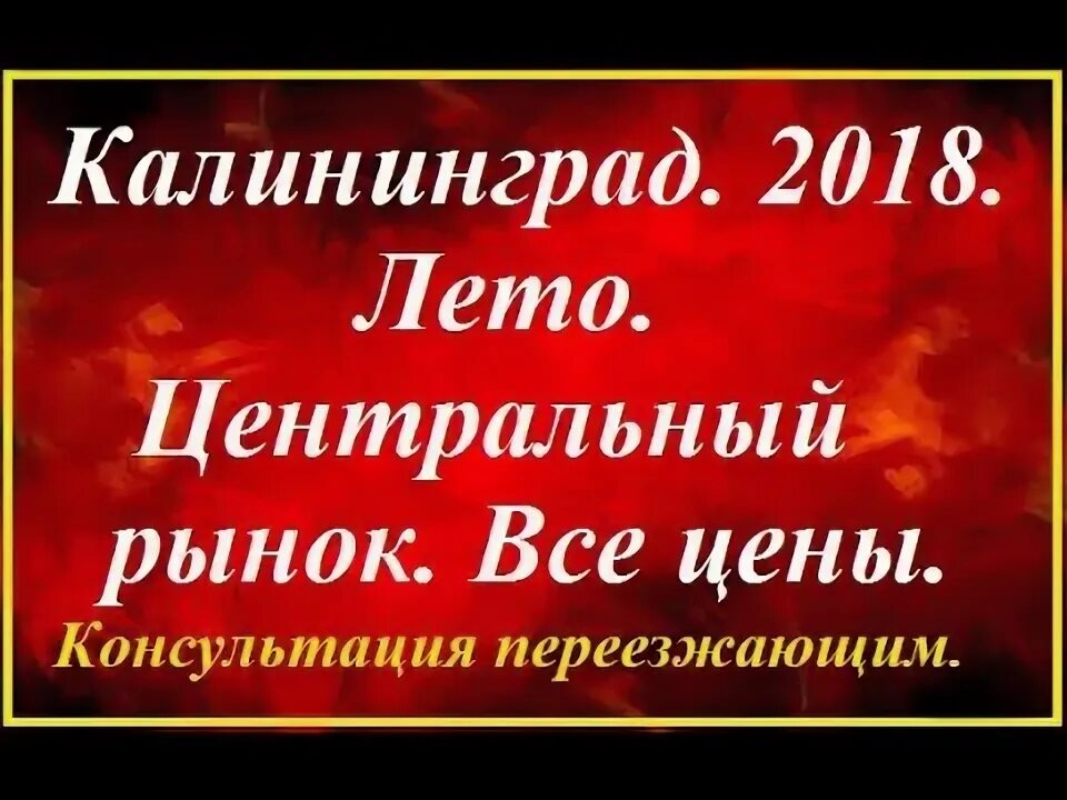 Калининград в августе. Калининград казахстан. 6 августа калининград. Благоустройство литовского вала. Фото калининграда 2023.