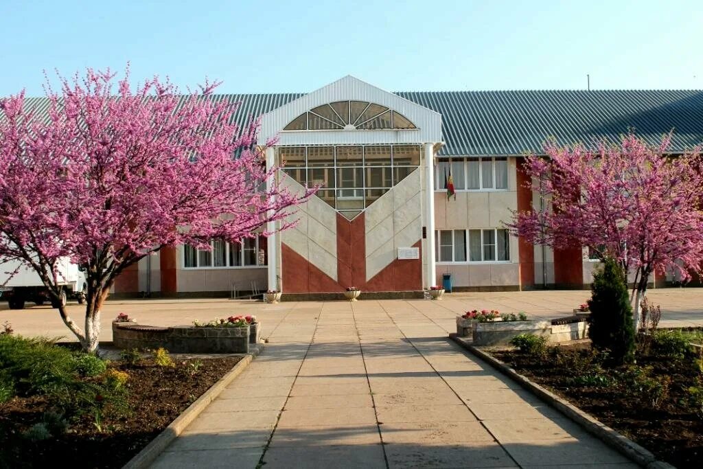 цветы тимашевск