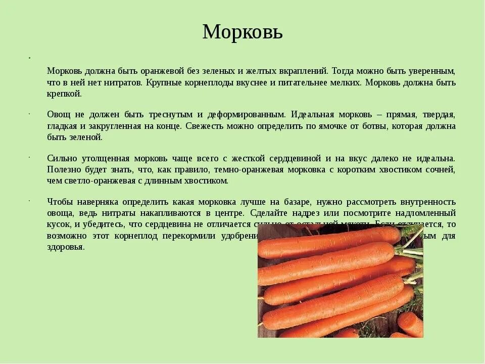 Можно ли кормящим морковь