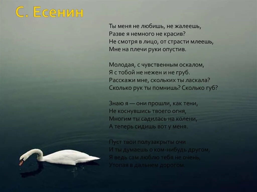 Немного разве