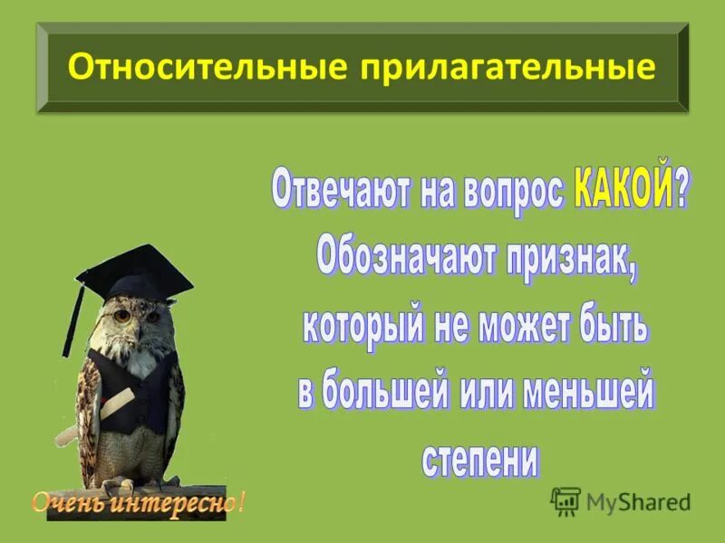 приморский относительное прилагательное