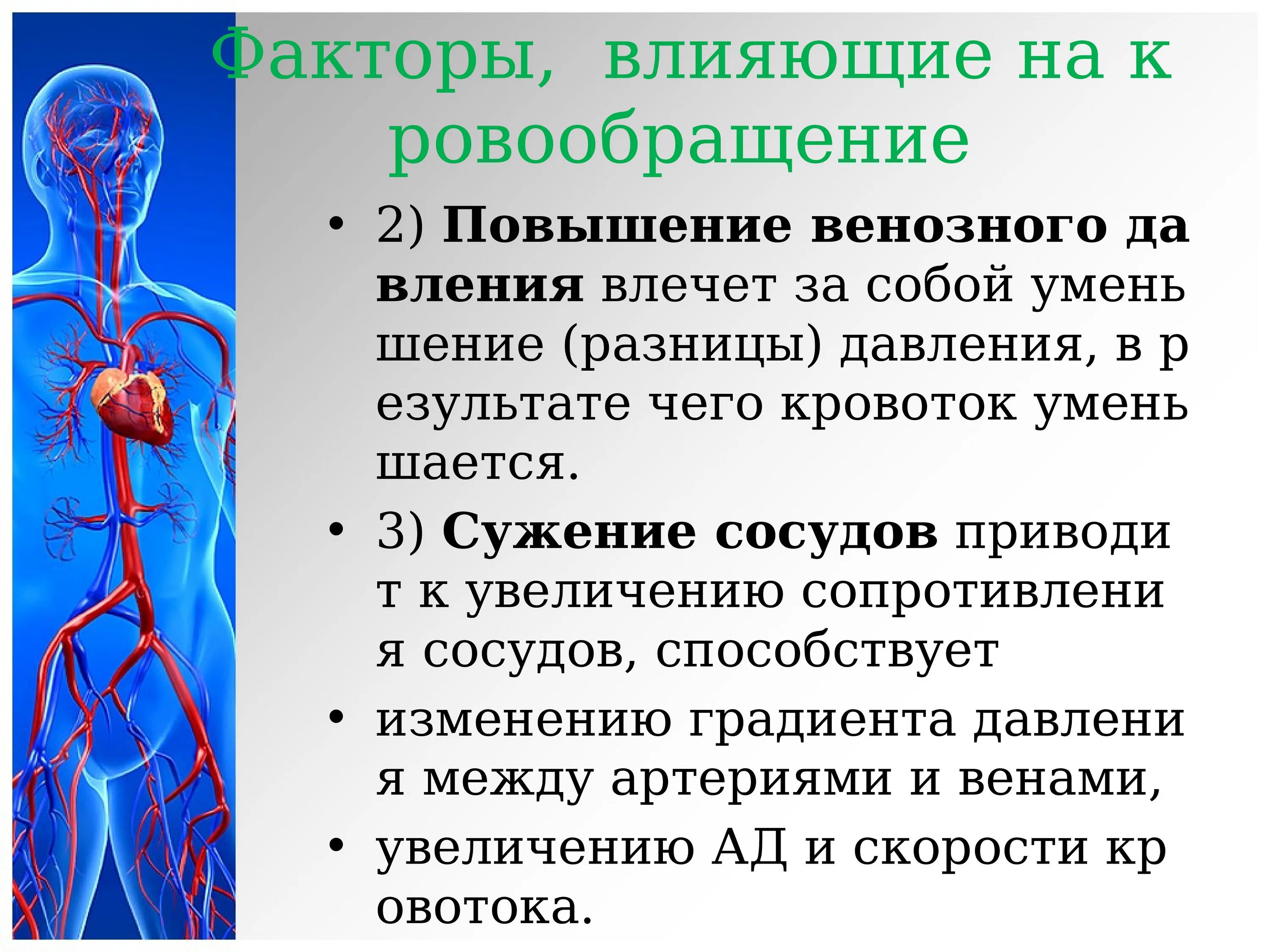 Состояние кровообращения