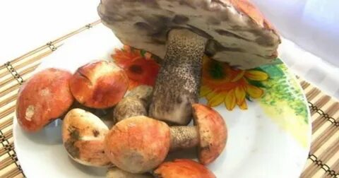 Красноголовики рецепты