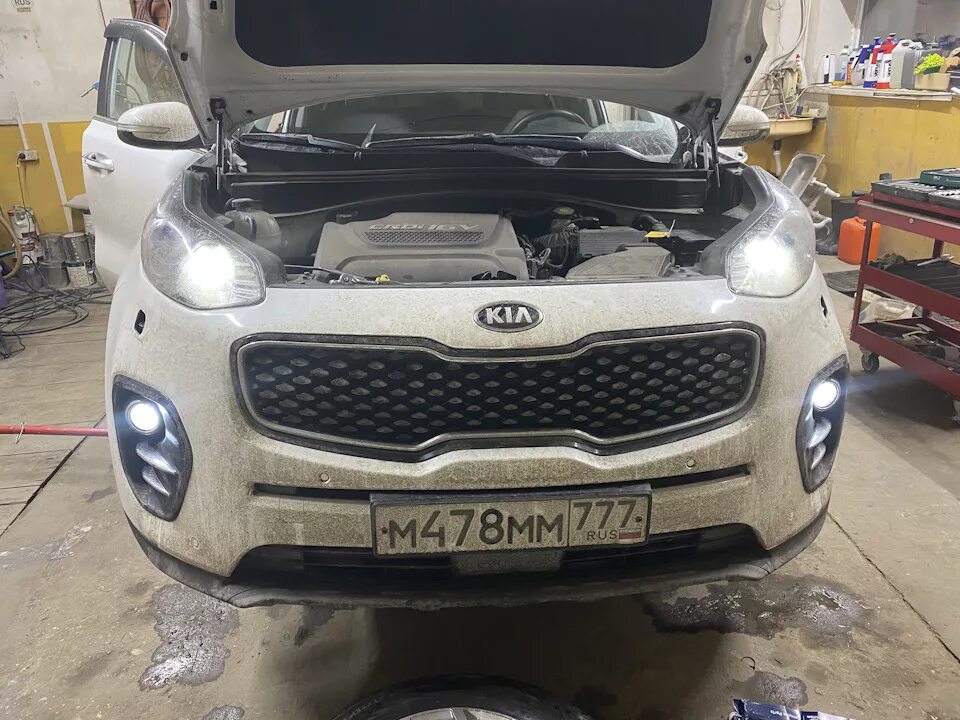 Kia sportage противотуманные фары. Противотуманки Kia Sportage 4. Kia Sportage 4 лампа противотуманки. Киа Спортаж 4 противотуманки. Противотуманные фары Киа Спортейдж 4.