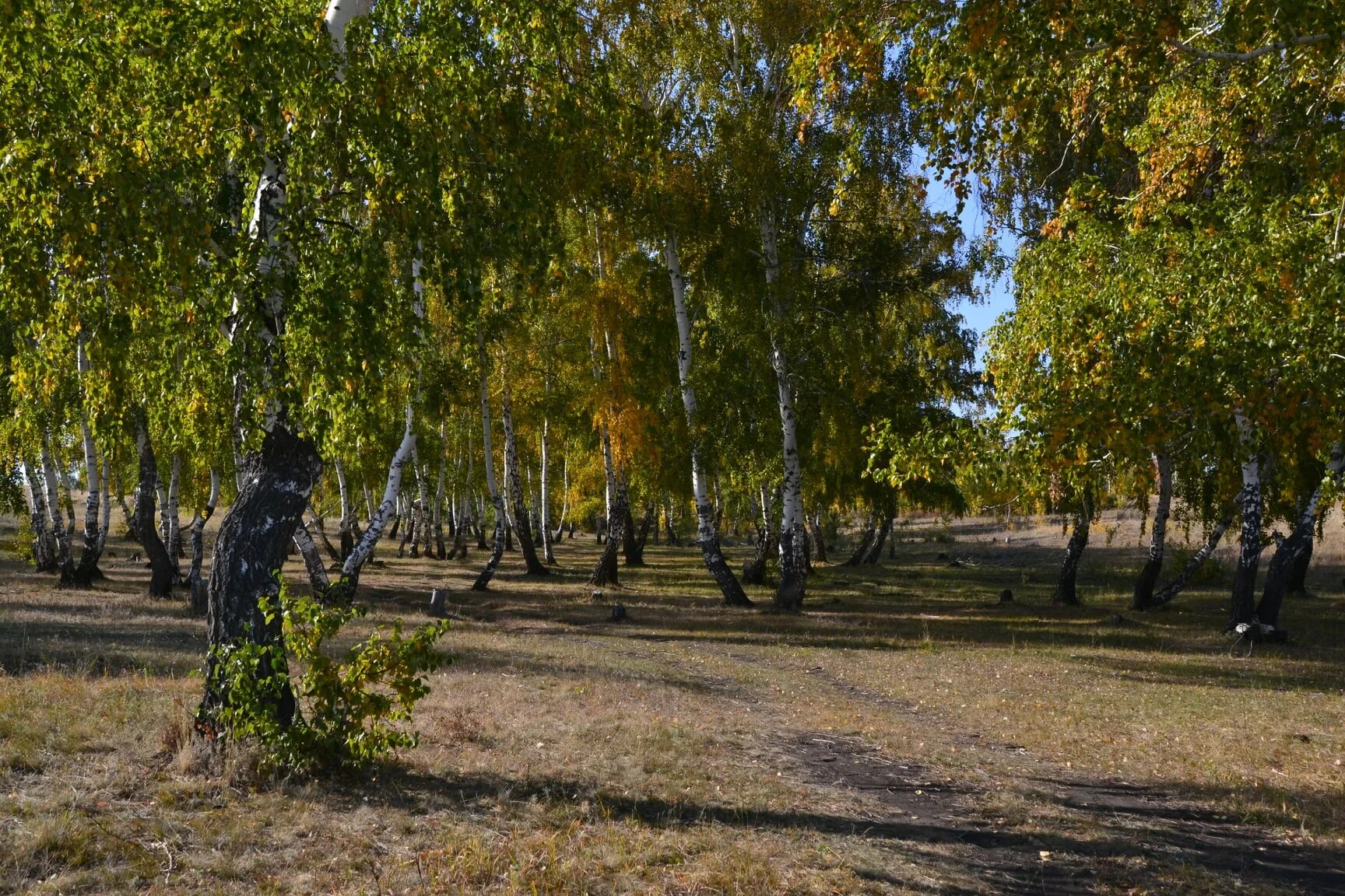 Новотроицкое 6. Новотроицкое 6. Новотроицкое 6. Солнечнодольск ставропольский край водохранилище. Новотроицкое озеро ставропольский.