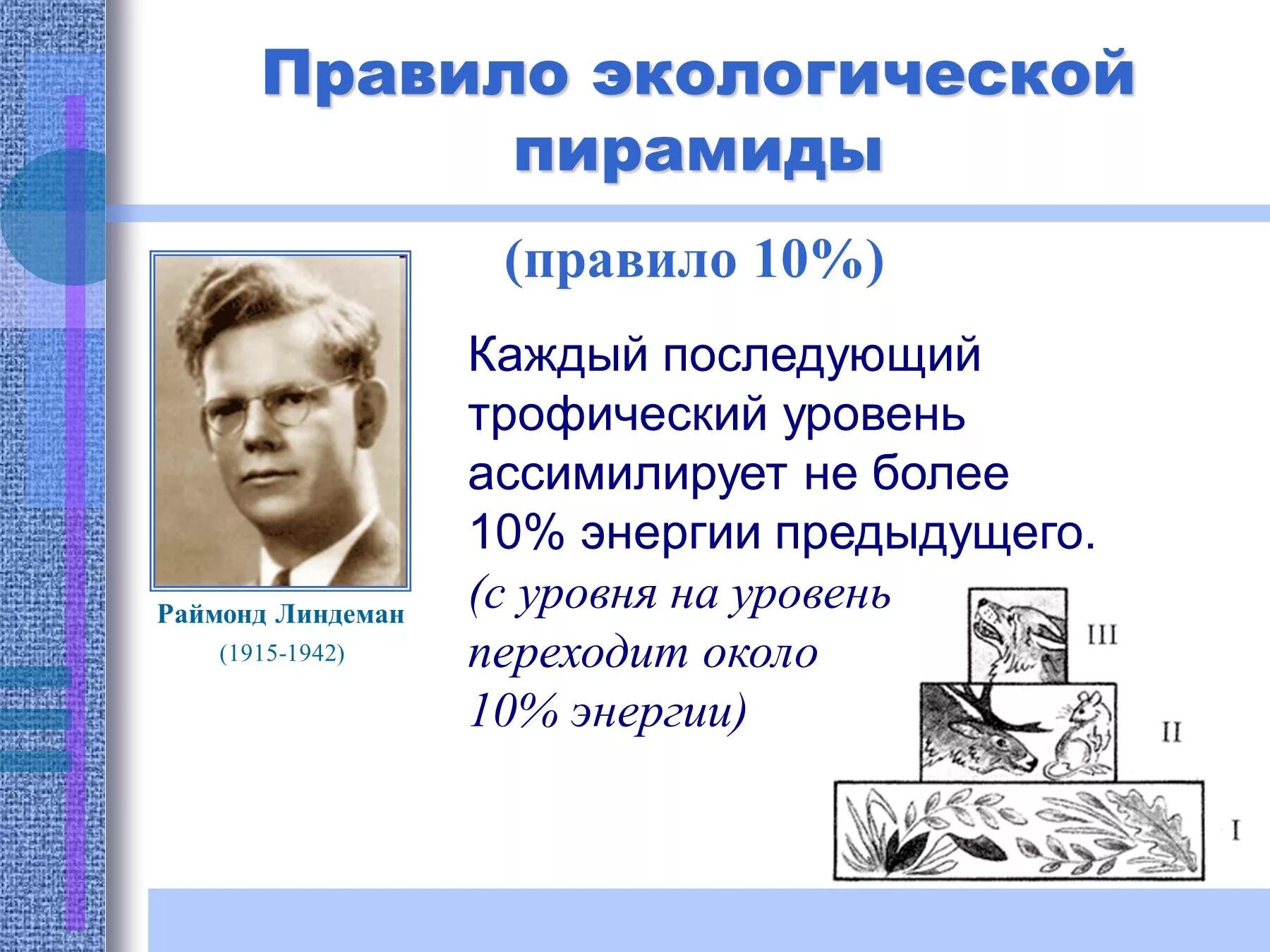 Правило 10 общество. Правило экологической пирамиды Линдемана. Экологические пирамиды правило 10. Правило эколической пирамида. Правило экологическойпирамилы.