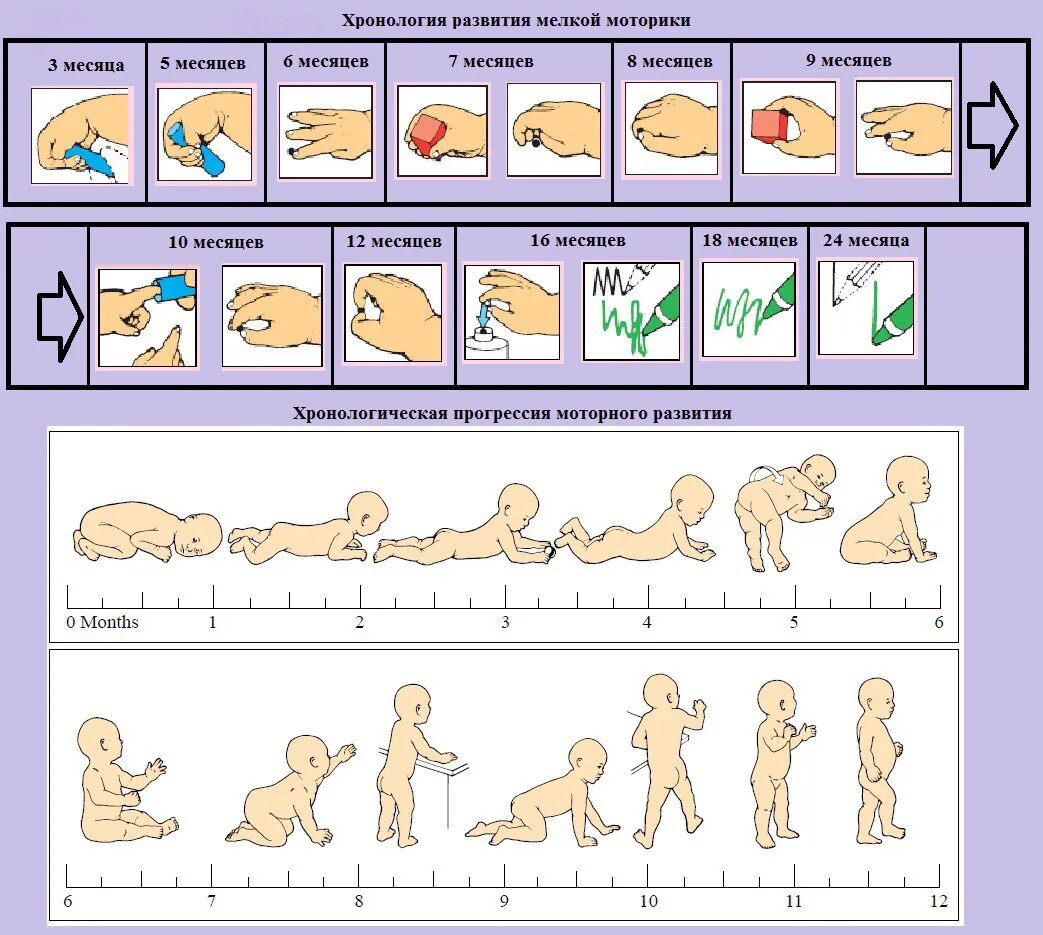 Развитие девочек по месяцам до года. Нормы развития ребенка до 3 лет. Нормы развития детей до 1 года. Этапы двигательного развития ребенка. Нормы моторного развития ребенка.