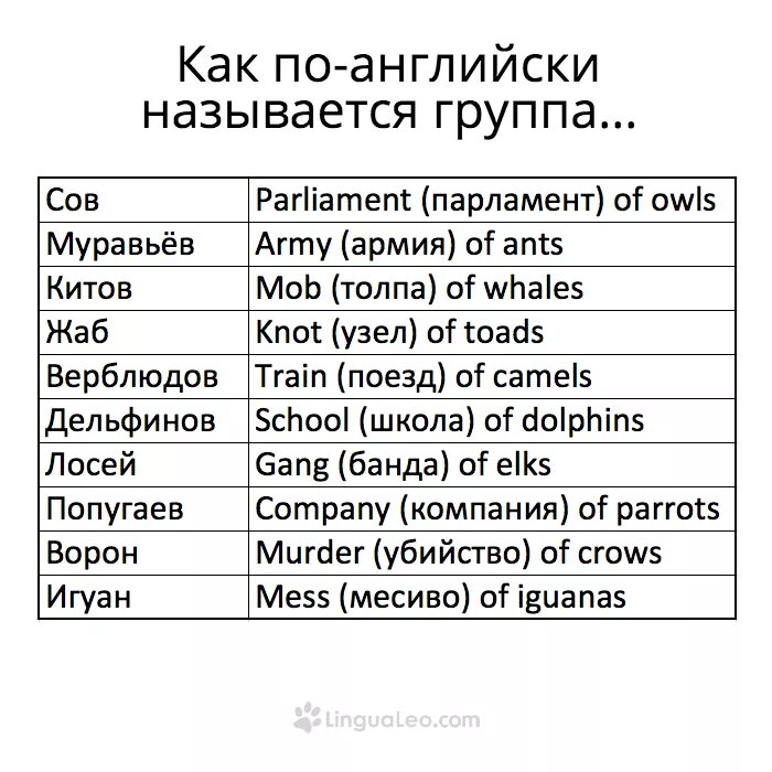 как пишется дата на английском. как будет называться по английскому. месяца года на английском с транскрипцией произношением. английские слова по темам. дни недели на английском языке с переводом на русский.