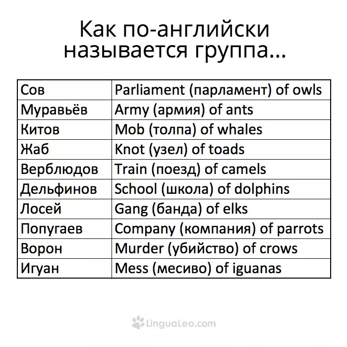 Группа на английском языке перевод. Английские названия. Название для группы на английском. Красивые слова на английском для названия группы. Как по гейски назвать группу.