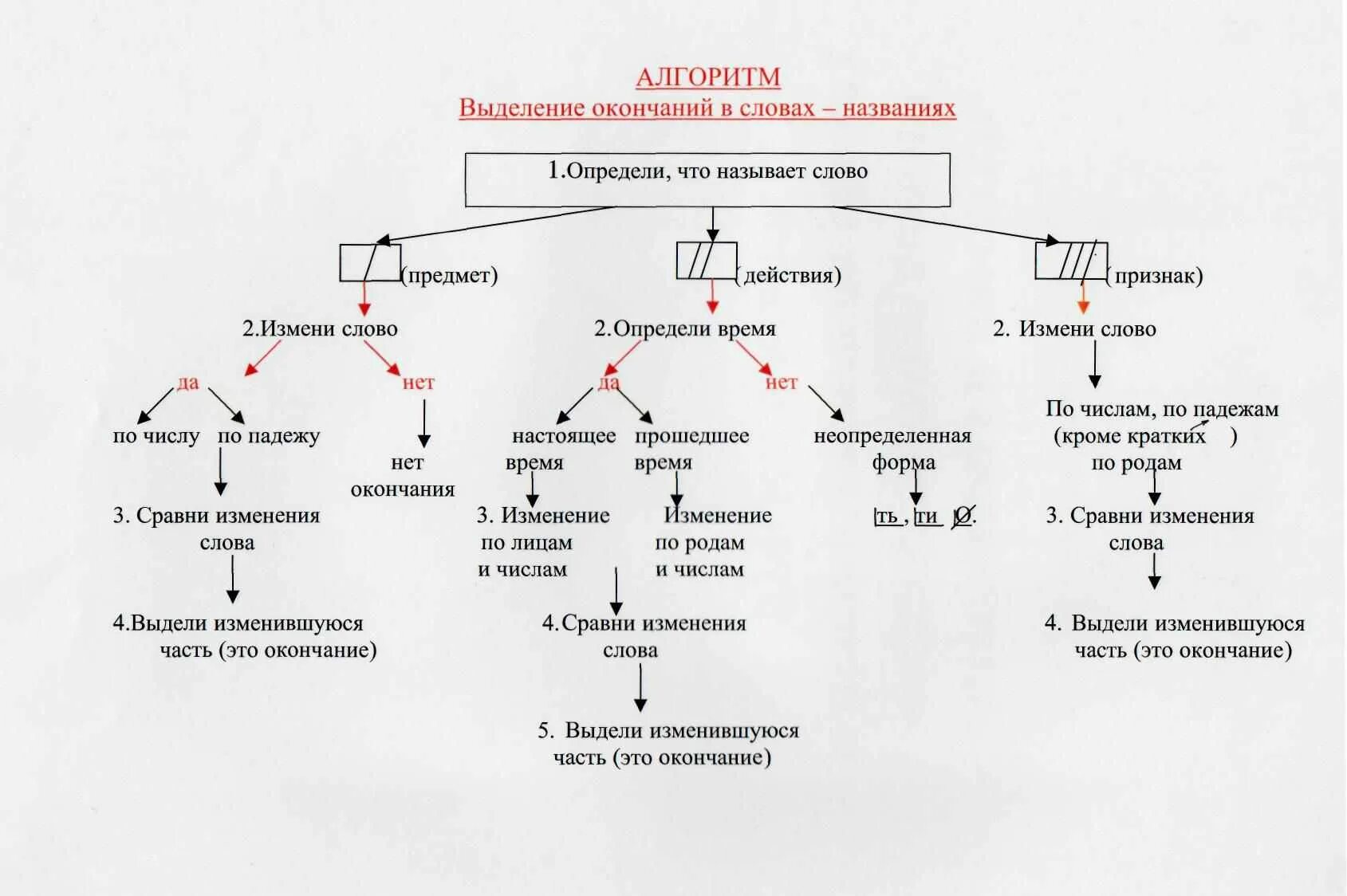 Алгоритм по родам. Алгоритм русский язык. Алгоритмы правил по русскому языку. Что такое алгоритм в русском языке 4 класс. Что такое алгоритм в русском языке 5 класс.