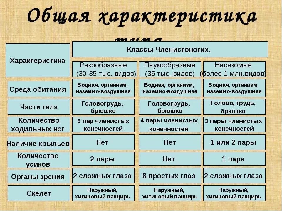 Членистоногие общая характеристика таблица. Характеристика класса членистоногих 7 класс. Тип Членистоногие общая характеристика таблица. Характеристика типа членистоногих таблица.