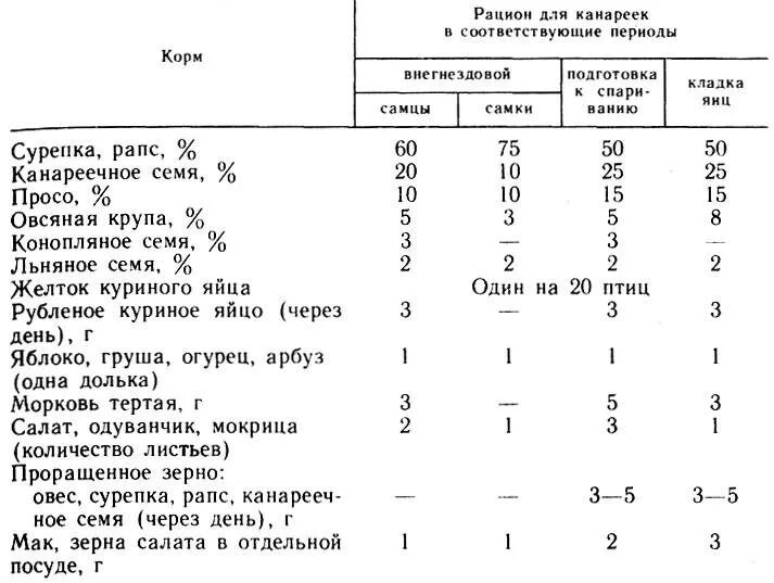 Чем кормить канарейку. Состав кормовой смеси для канареек. Состав корма для канареек. Рацион канареек. Корм для канареек состав.