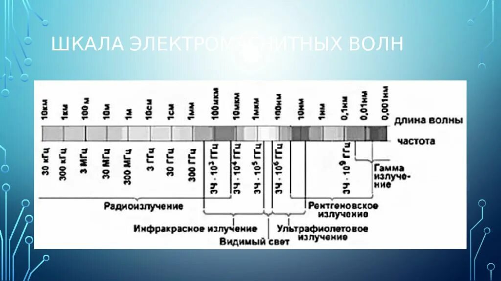 Шкала электромагнитных волн. Шкала эм волн. Шкала электромагнитный электромагнитных волн. Школа электромагнитной волны. Электромагнитные волны с максимальной частотой