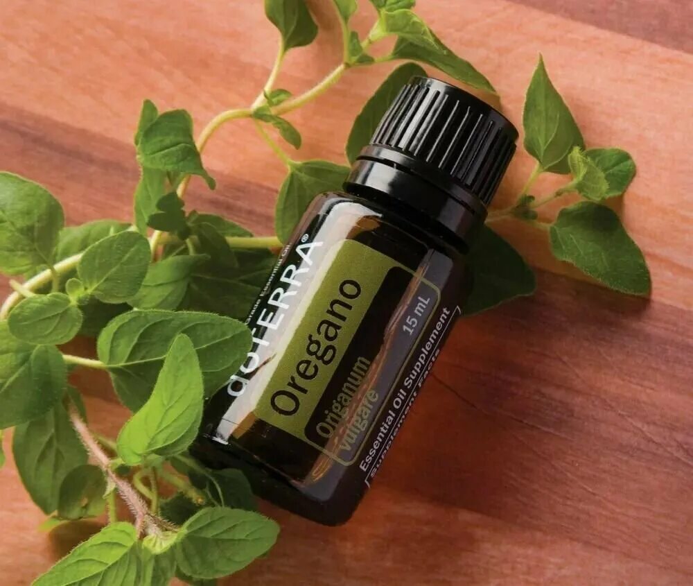 майоран дотерра эфирное. орегано роллер дотерра. орегано роллер дотерра. Doterra эфирное масло oregano. садовая мята дотерра.