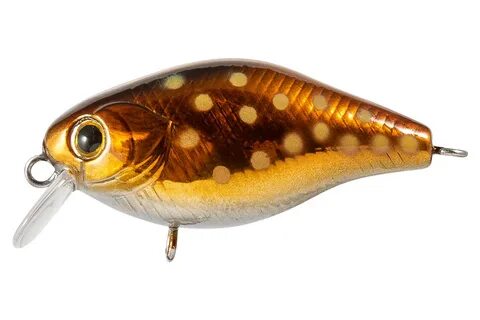 Tsuyoki chef 38f