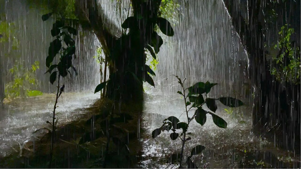 Громкие звуки дождя. Проливной дождь. Шум дождя и грозы. Дождь и Гром. Голос дождя.