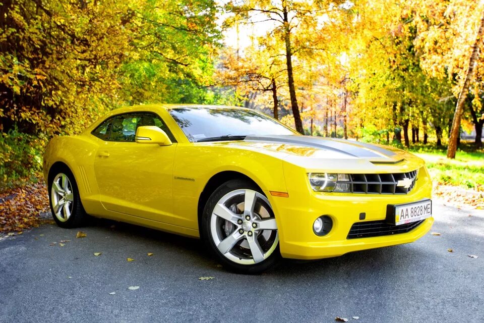 Шевроле Камаро. Шевроле Камаро желтая. Chevrolet Camaro SS 2008. Шевроле Камаро 8 к.