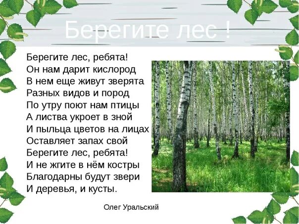 Стих берегите мир. Стих берегите мир