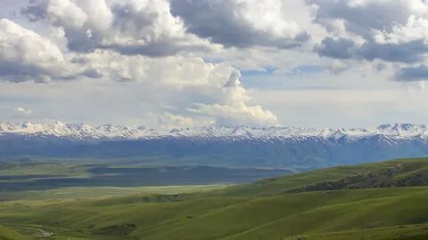 Жамбылская тараз индекс