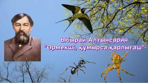 Y порно шошқа банкі