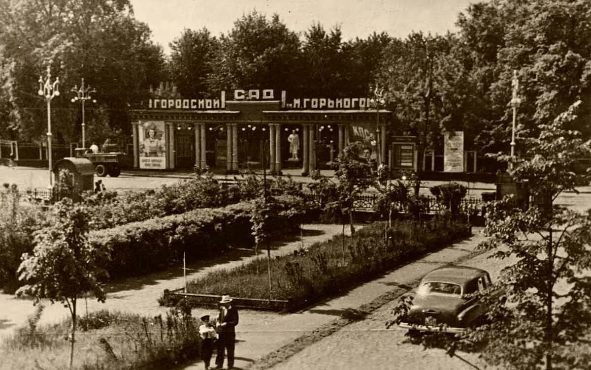 аллея на комсомольский проспект перми в 1960-х. горьковский сад в старину пермь. город молотов пермь. город молотов пермь. страницы истории перми пермь-молотов.