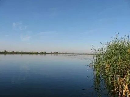 Гисметео красный текстильщик саратовская область