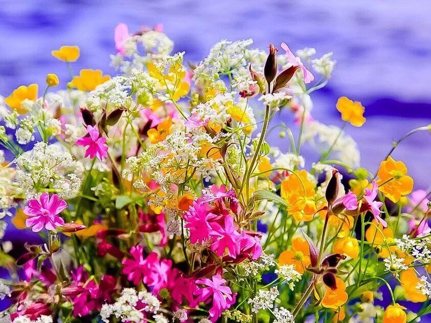 Яркие полевые цветы. Летние цветы. Полевыфе цве ы. Красивый летний букет. Конец весны начало лета
