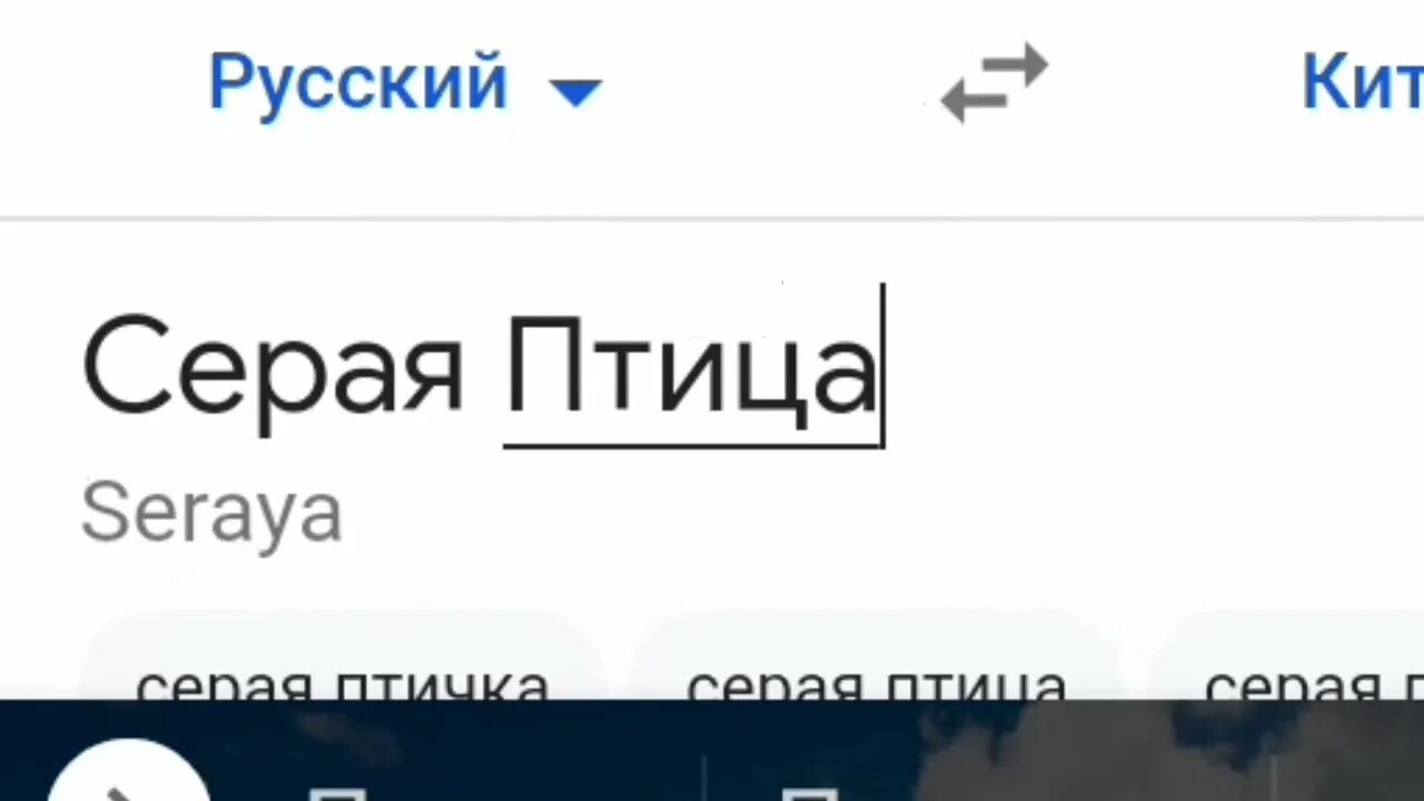 Как переводится птичка на китайском. Серая птица по китайски. Как переводится серая птица на китайском. Алиса как переводится на китайском серая птица. Алиса как по-китайски серая птичка.