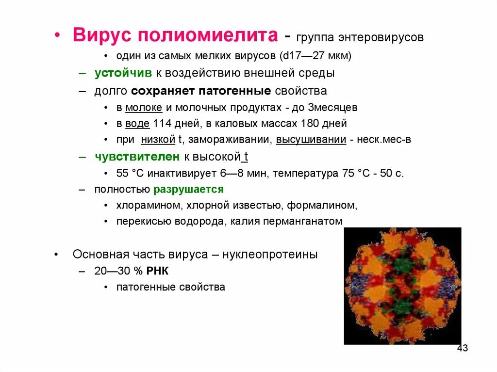 Вирус ковид группа патогенности. Факторы патогенности вируса полиомиелита. Вирус Коксаки антигенная структура. Вирус полиомиелита семейство род вид. Вирус Коксаки структура вириона.