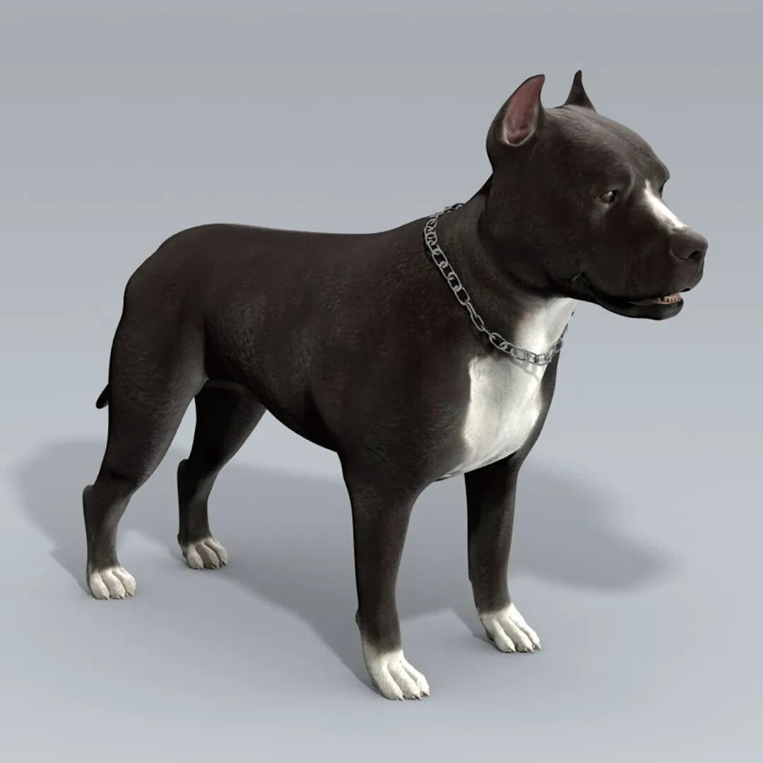 Д дог. Д дог. Модель собаки. Д дог. Д дог.