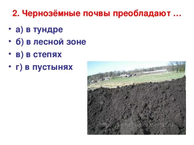 Для какой природной зоны характерны черноземы почвы. Черноземные почвы. Черноземные почвы преобладают. Почва чернозем. Почва чернозем степи.