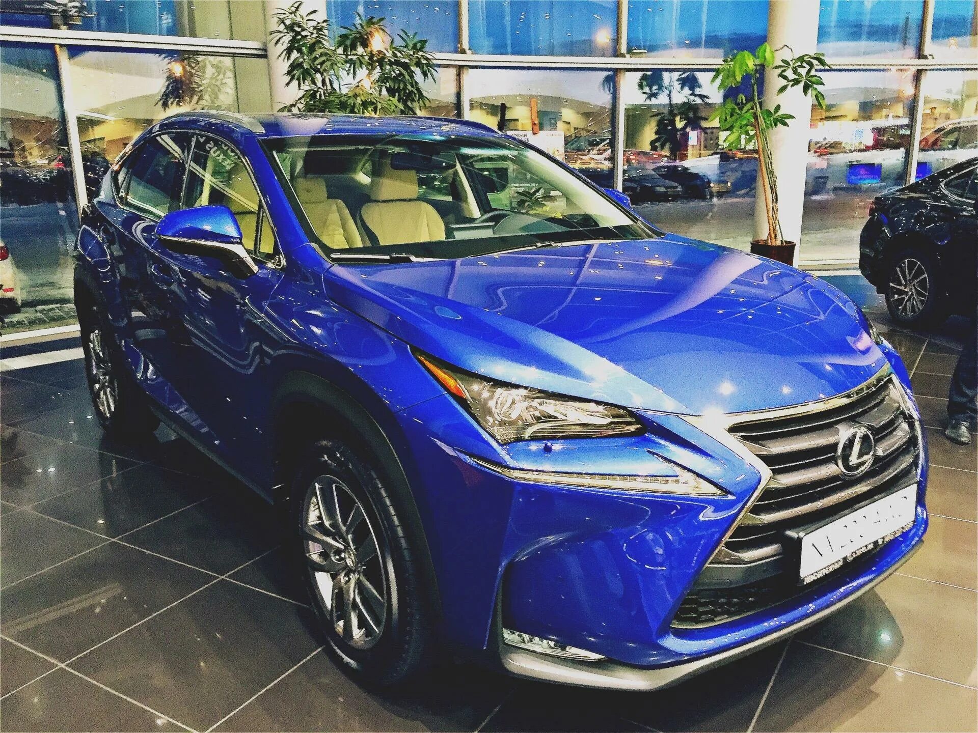 Лексус Аквамарин. Лексус Левобережный. Автосалон Лексус. Lexus NX синий.