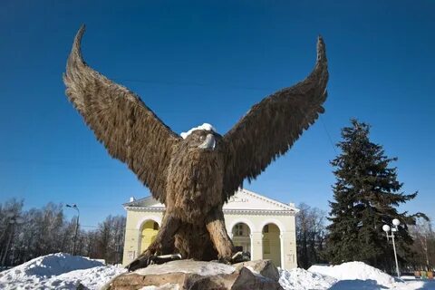 5 вид орел
