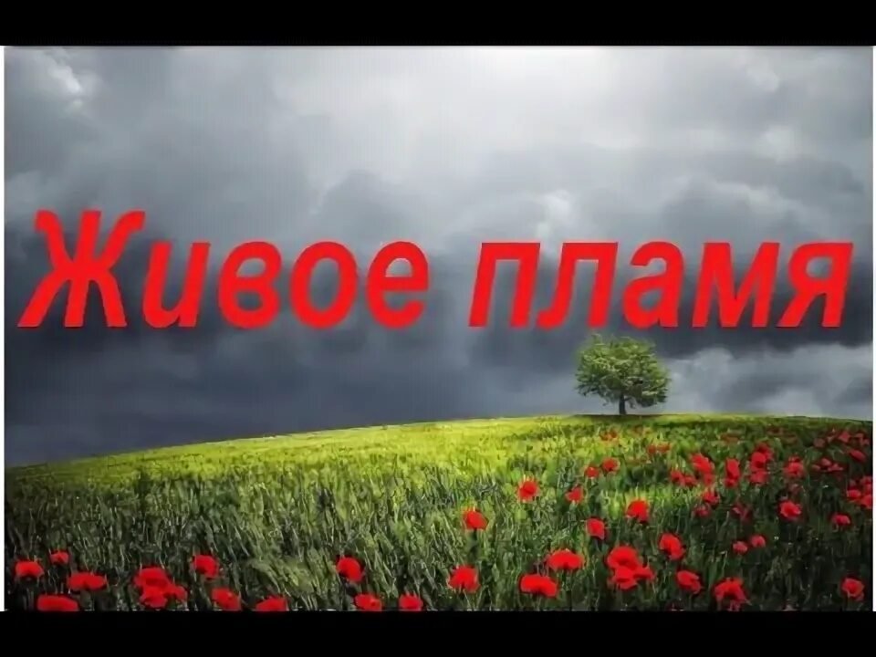 Живое пламя пересказ 7 класс по литературе. Живое пламя. Пересказ живое пламя. Носов живое пламя. Носов живое пламя аудиокнига.