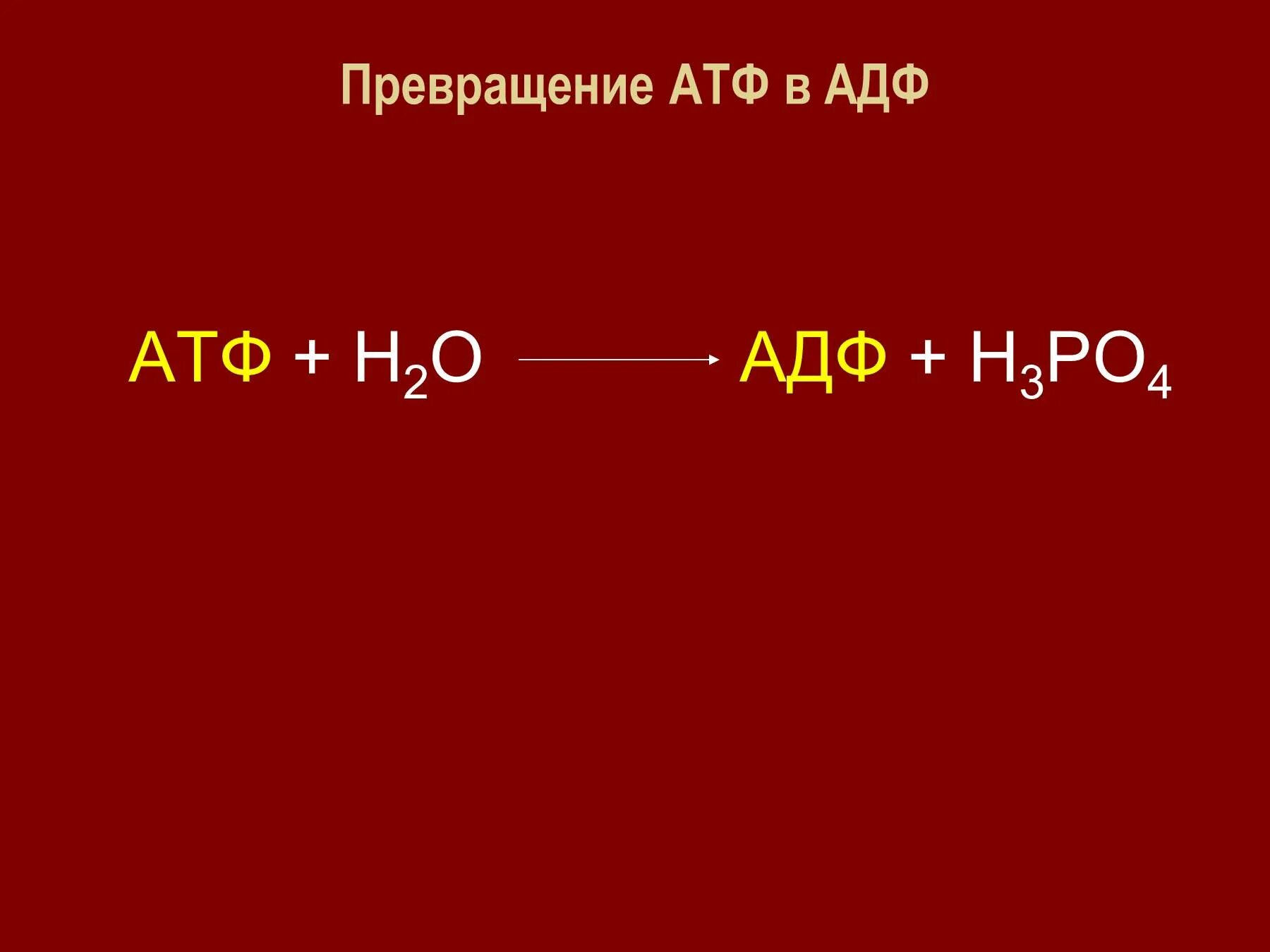 Продуктом является атф. Превращение АТФ В АДФ. Структура АТФ превращение АТФ В АДФ. Схема строения АТФ И превращения ее в АДФ. АТФ В АДФ реакция.