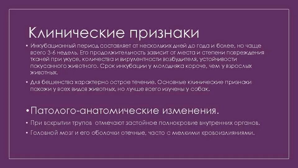 Первые симптомы бешенства. Бешенство симптомы инкубационный период. Симптомы бешенства у человека. Бешенство у человека си. Сколько длится инкубационный период бешенства.