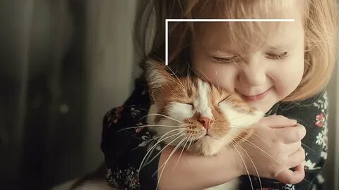 Кошка девочка животное