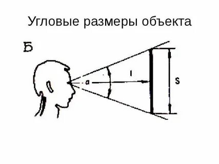 Размер объекта c