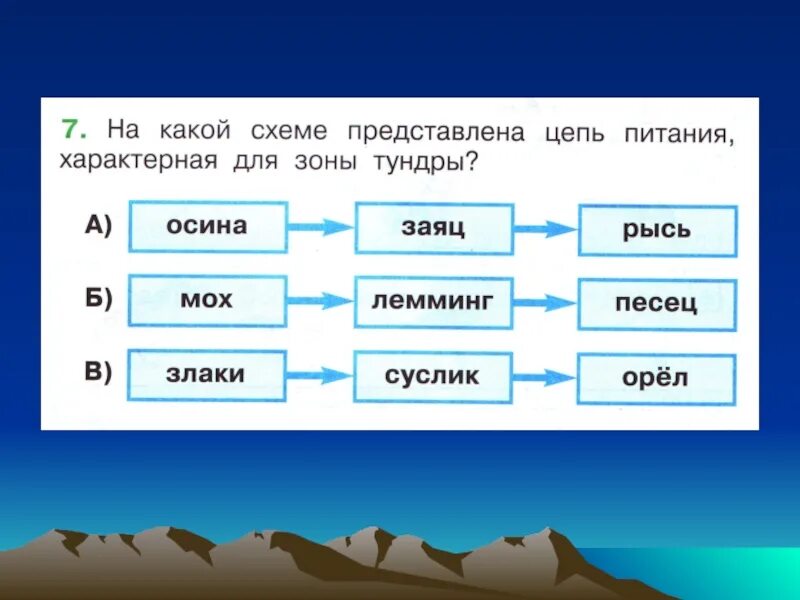 Составить цепи питания тайги. Пищевая цепочка тундры 7 класс. Схема цепи питания. Цепь питания в тундре. Цепь питания в тайге.