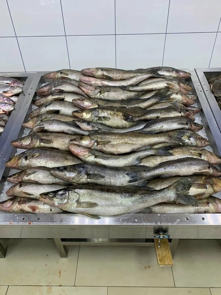 карельская рыба магазин москва. рыба карелии петрозаводск. рыба карелии, петрозаводск, первомайский проспект. рыба карелии, петрозаводск, улица антикайнена. рыба карелии магазин.