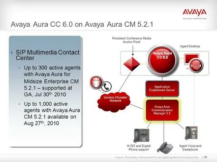 Avaya site