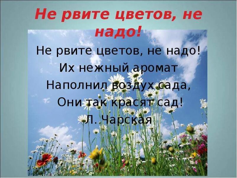 Стих не рвите цветы. Стих не рви цветов не надо. Стихи стихи не рвите цветов. Л Чарская не рви цветов.