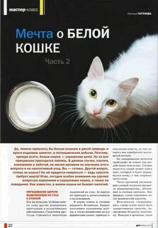 Белая кошка текст