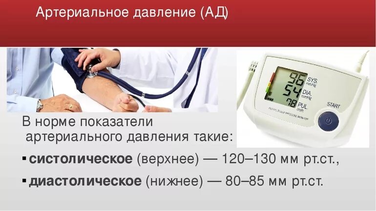 Как выглядит низкое давление. Артериальное давление человека. артериальная гипотония. артериальная гипертензия и гипотензия. артериальная гипотензия показатели ад.