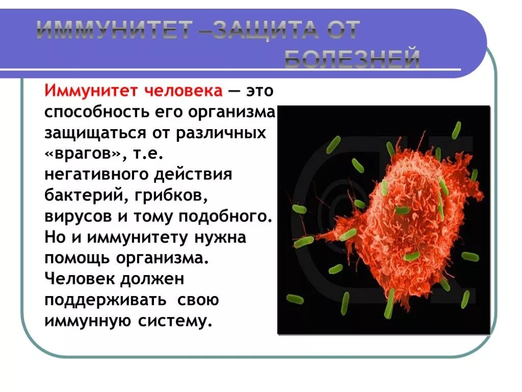 Иммунные растения. Защита организма от инфекций. Организм человека защищен от вирусов и микроорганизмов. Как организм защищается от вирусов. Иммунитет.