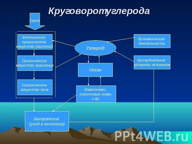 Круговорот углерода в природе. Геологический круговорот углерода в природе. Круговорот углерода схема. Схема круговорота углерода в водной экосистеме. Экосистемы круговорот углерода