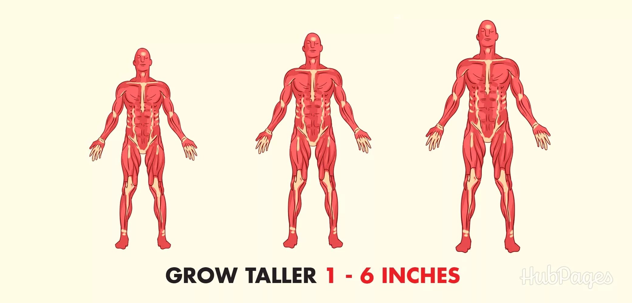 Grow Taller. Как увеличить рост. How to grow Taller. How to grow Tall.