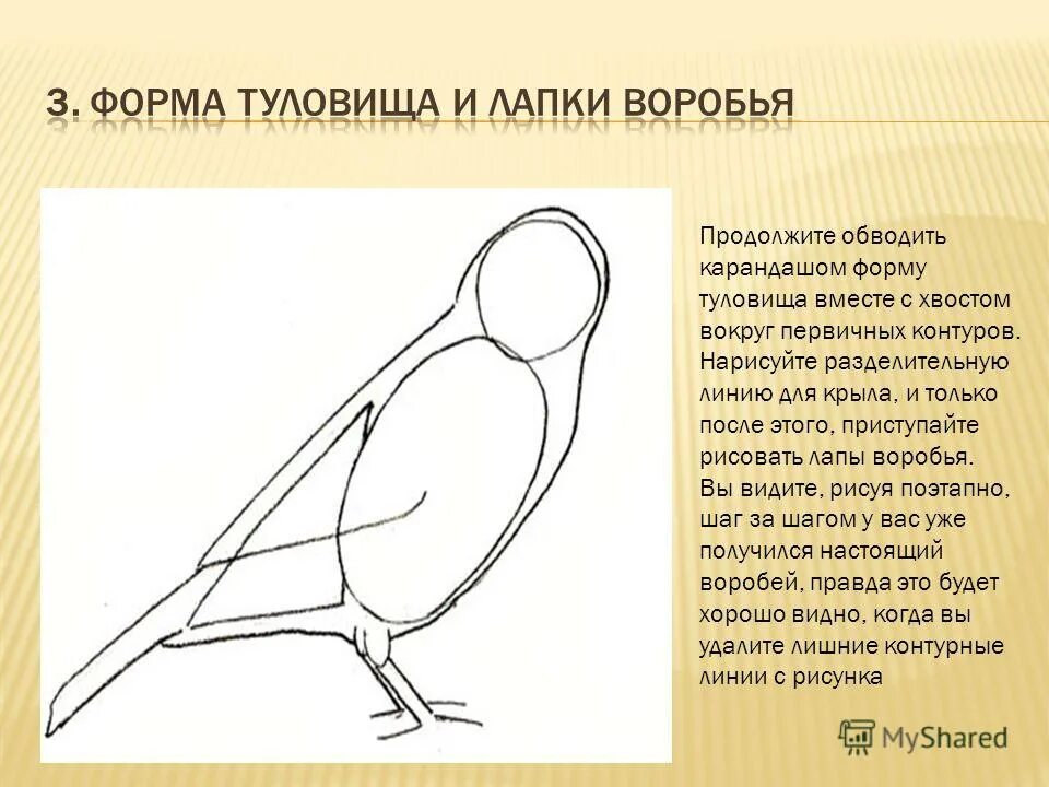 Как рисуется воробей. Форма туловища воробья. поэтапное рисование воробья. воробей рисунок поэтапно. построение птицы.