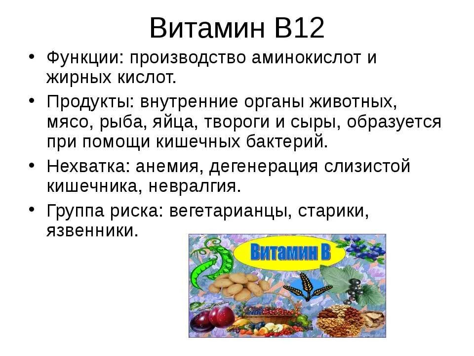 Функции витамина в12 таблица. Функции витамина в12 для памяти. Витамин в12 функции в организме источники. Источники витамина в12. Витамин в 1 функции